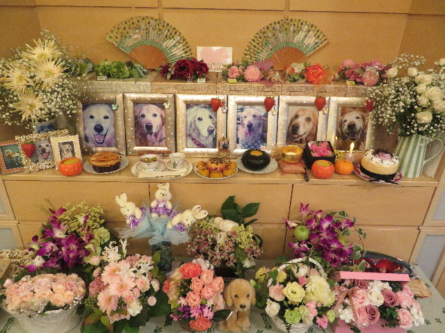 ファイル 6434-5.jpg