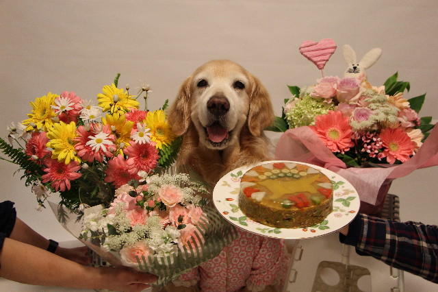 ファイル 6438-1.jpg