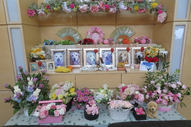 ファイル 6438-3.jpg