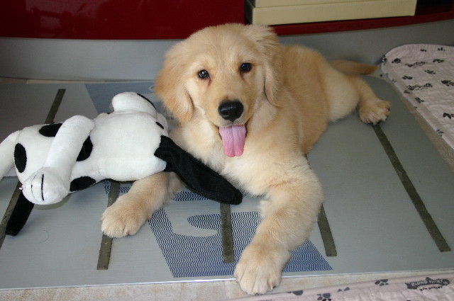 ファイル 6438-5.jpg