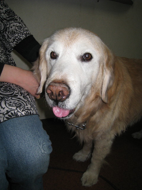 ファイル 644-1.jpg