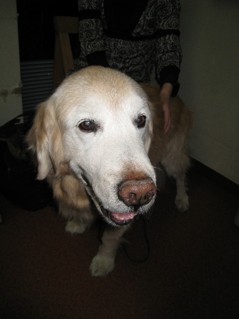 ファイル 644-2.jpg