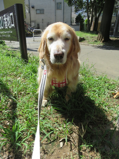 ファイル 6440-2.jpg