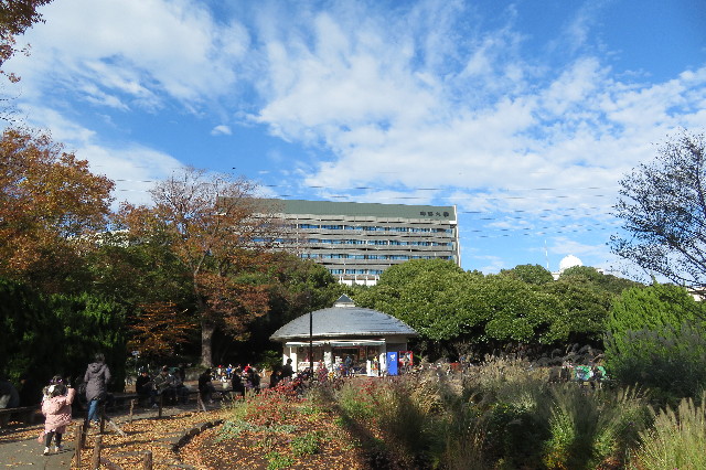 ファイル 6443-1.jpg