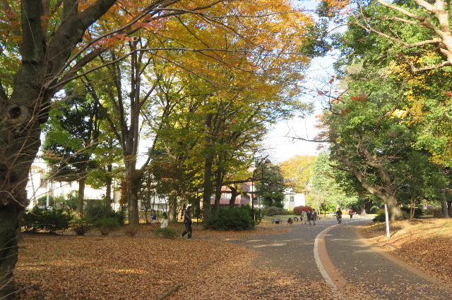 ファイル 6443-4.jpg