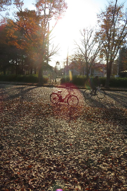 ファイル 6446-1.jpg