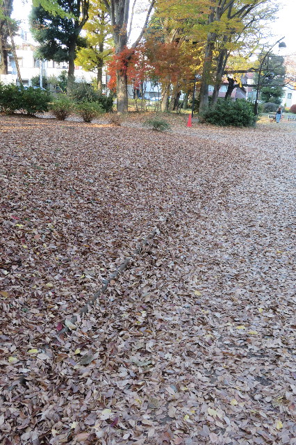 ファイル 6446-3.jpg