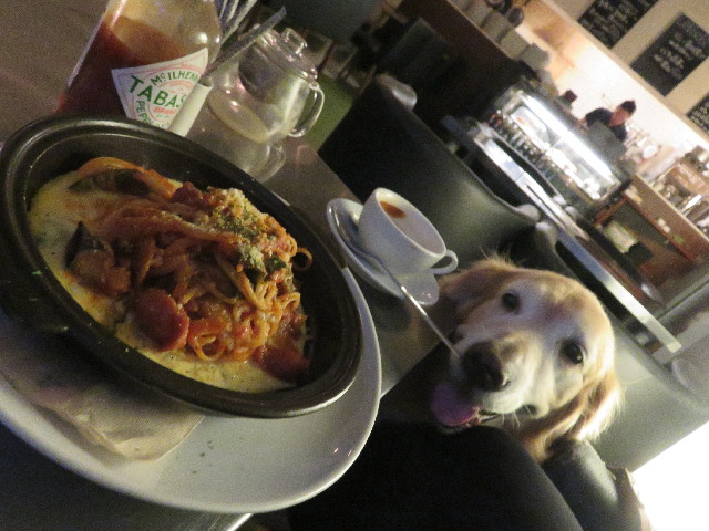 ファイル 6447-4.jpg