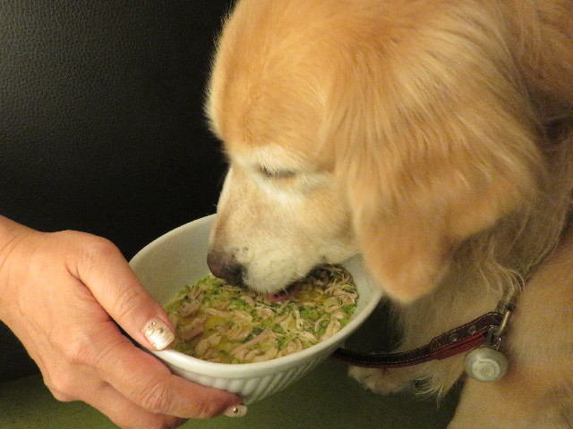 ファイル 6447-5.jpg