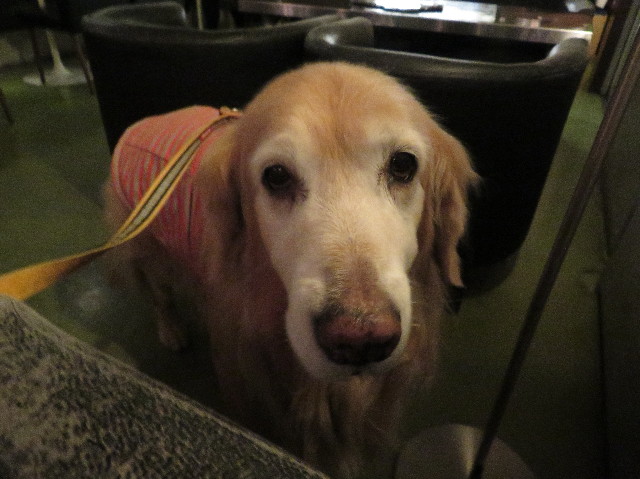 ファイル 6449-1.jpg