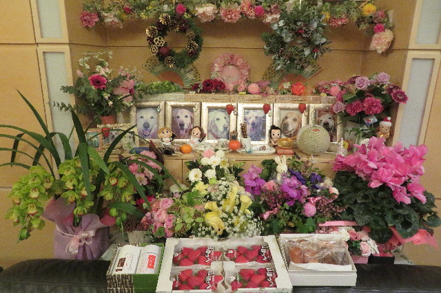 ファイル 6451-2.jpg