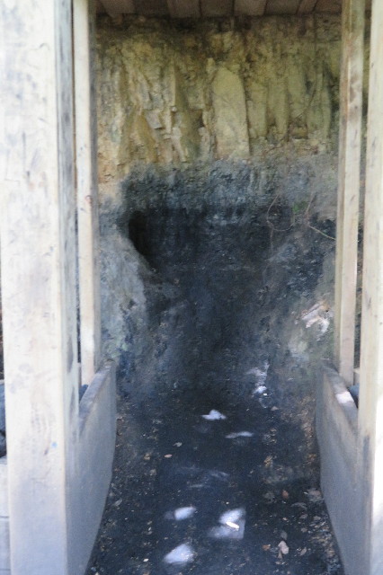 ファイル 6459-5.jpg