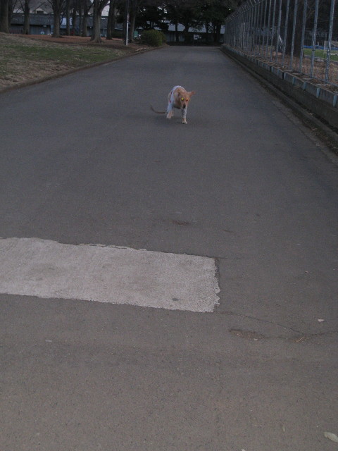 ファイル 646-5.jpg