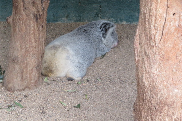 ファイル 6462-2.jpg