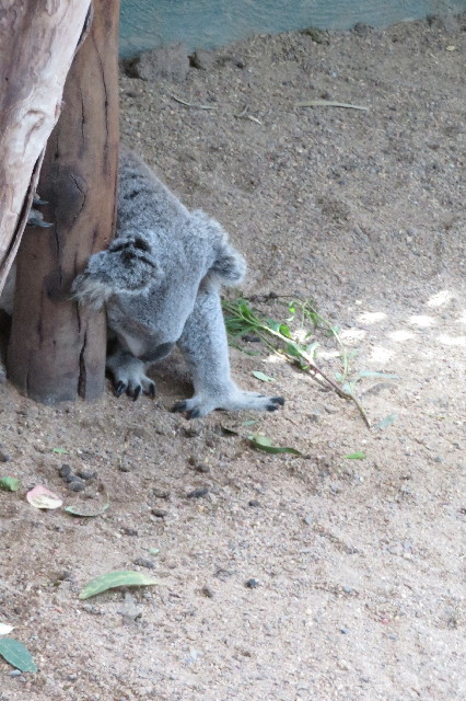 ファイル 6462-3.jpg