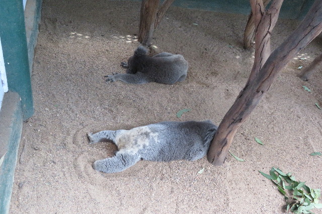 ファイル 6462-4.jpg