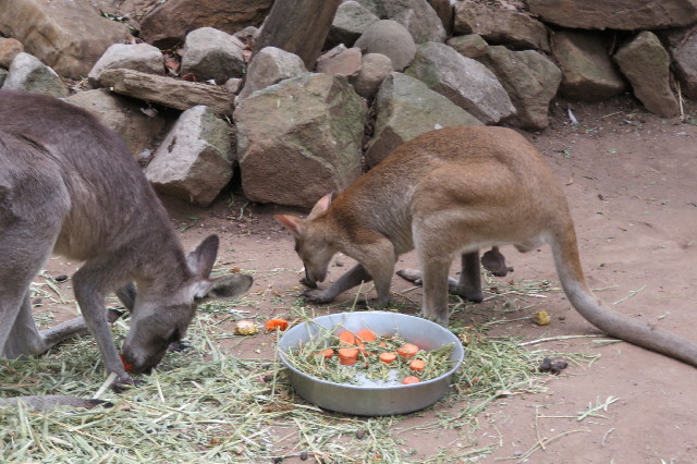 ファイル 6463-2.jpg