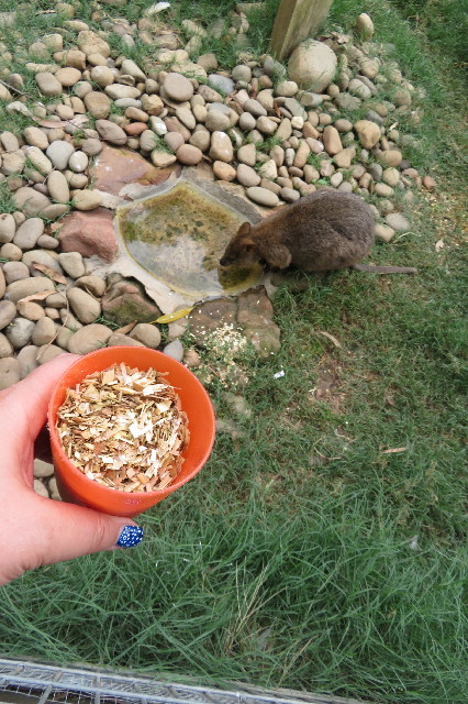 ファイル 6463-3.jpg