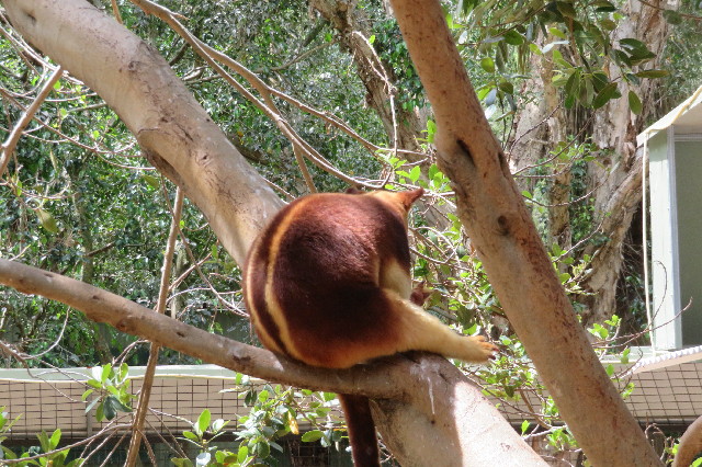 ファイル 6463-4.jpg