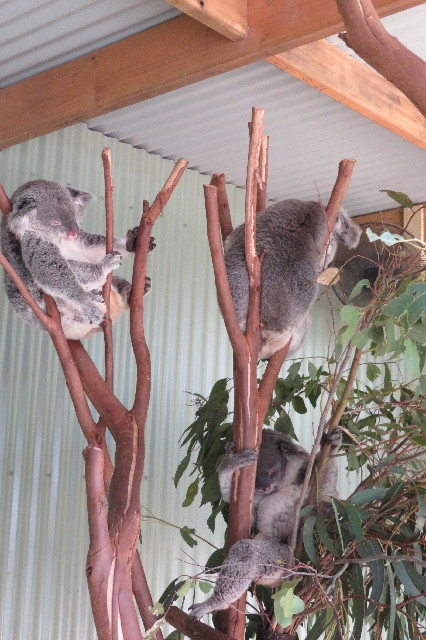 ファイル 6463-5.jpg