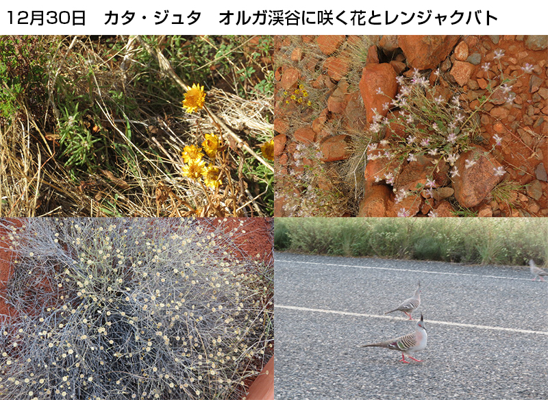 ファイル 6468-4.jpg