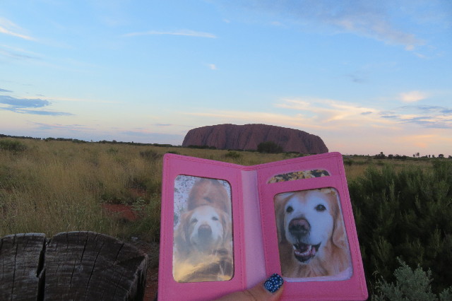 ファイル 6469-2.jpg