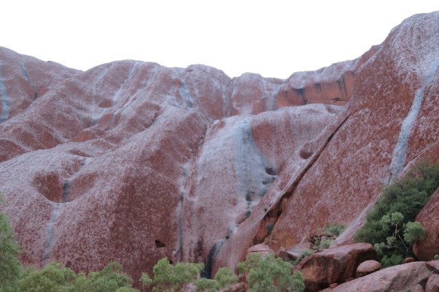 ファイル 6471-1.jpg