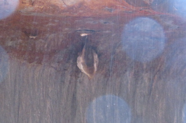 ファイル 6471-5.jpg