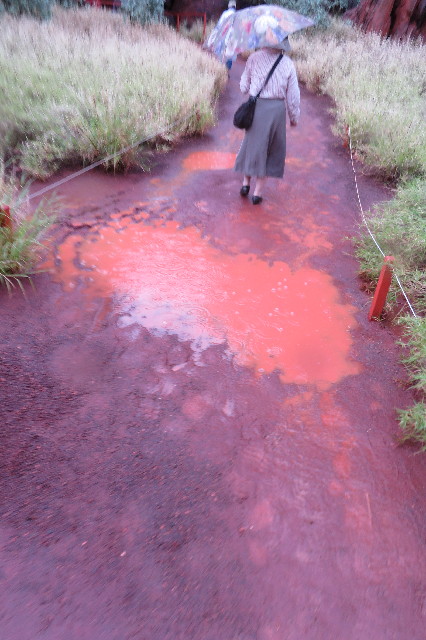 ファイル 6474-1.jpg