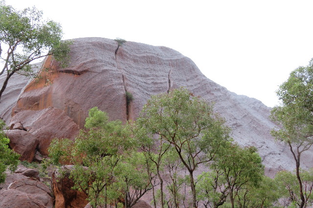 ファイル 6476-3.jpg