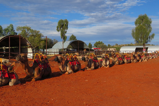 ファイル 6479-3.jpg