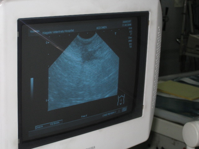 ファイル 648-4.jpg