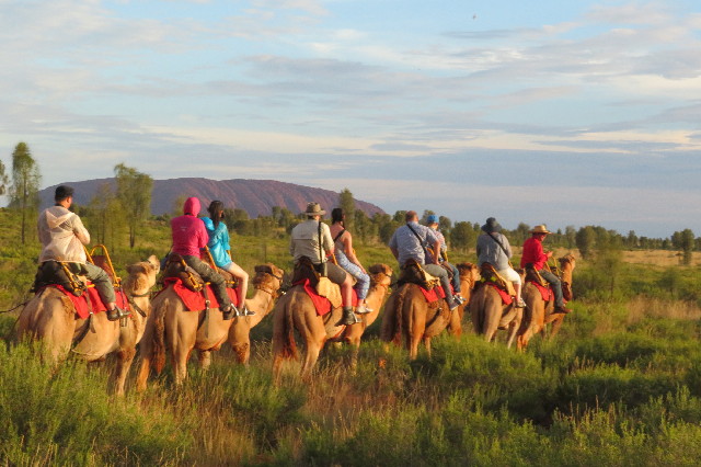 ファイル 6480-1.jpg