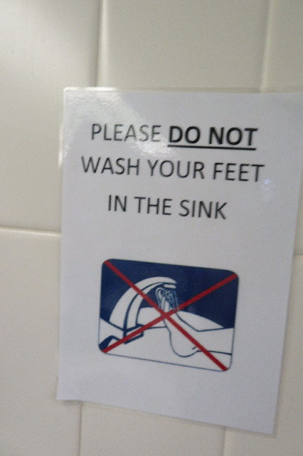 ファイル 6482-5.jpg