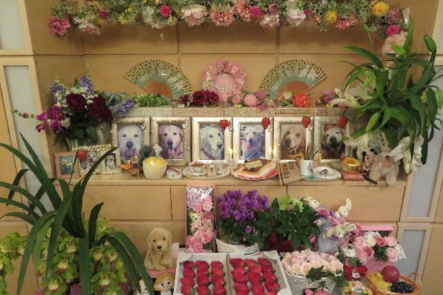 ファイル 6485-3.jpg