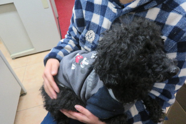 ファイル 6485-5.jpg