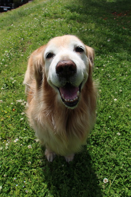 ファイル 6487-5.jpg