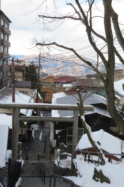 ファイル 6492-5.jpg