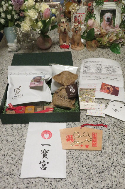 ファイル 6493-1.jpg