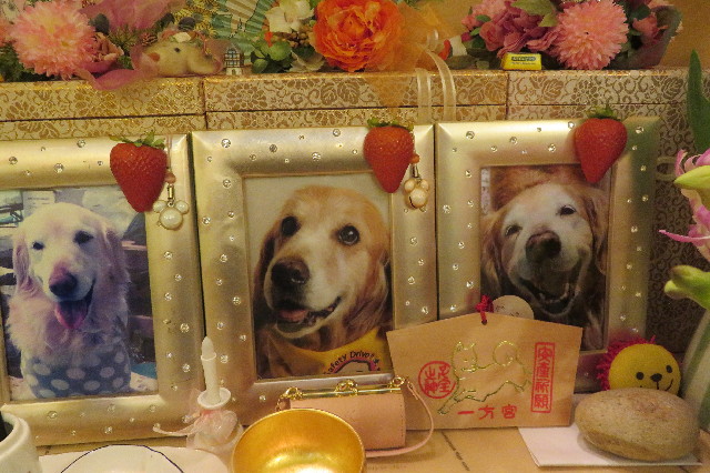 ファイル 6493-2.jpg