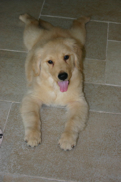 ファイル 6494-1.jpg