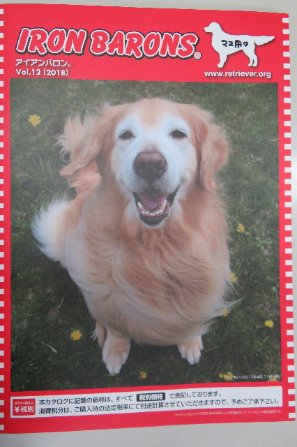 ファイル 6495-1.jpg