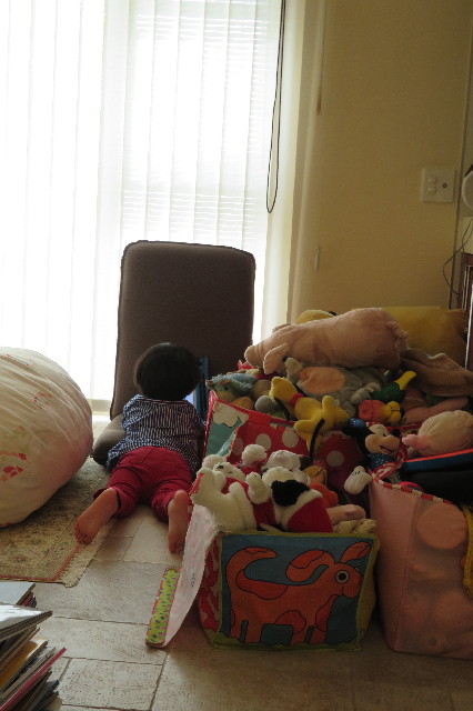 ファイル 6495-5.jpg