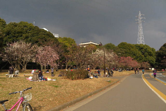 ファイル 6496-3.jpg