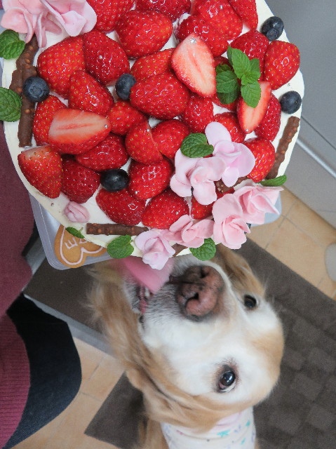 ファイル 6499-4.jpg