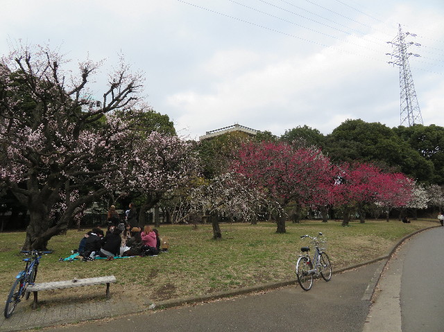 ファイル 6500-3.jpg