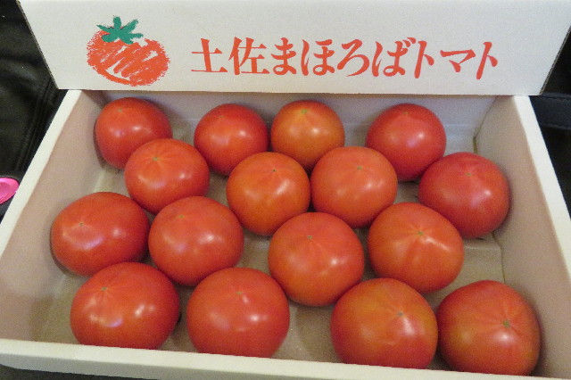 ファイル 6500-4.jpg