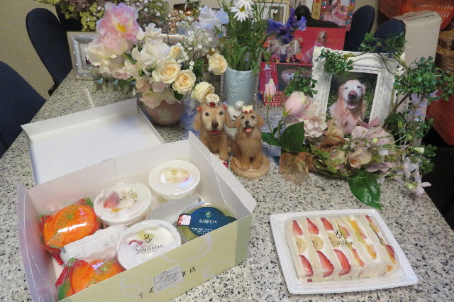 ファイル 6500-5.jpg