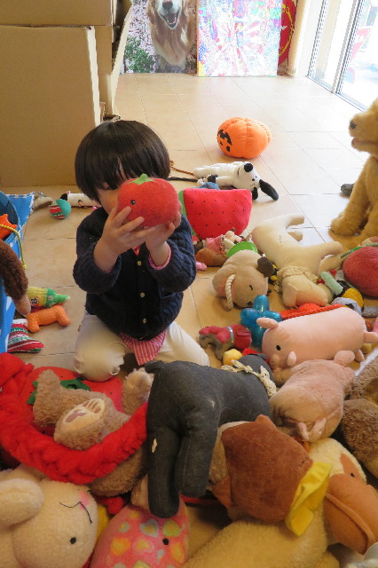 ファイル 6503-1.jpg