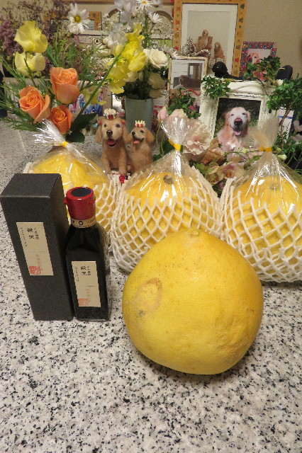 ファイル 6503-4.jpg